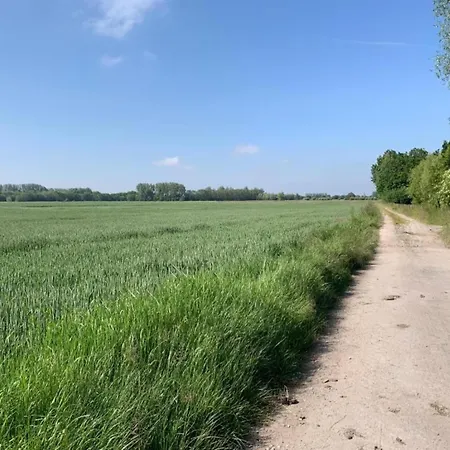 Lectus With Location Nieuwpoort