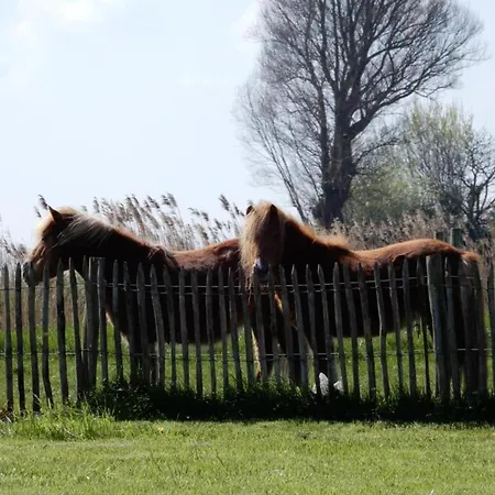 Lectus With Location Nieuwpoort